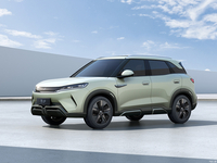 Elektrische New Energy-auto met een bereik van 300 km